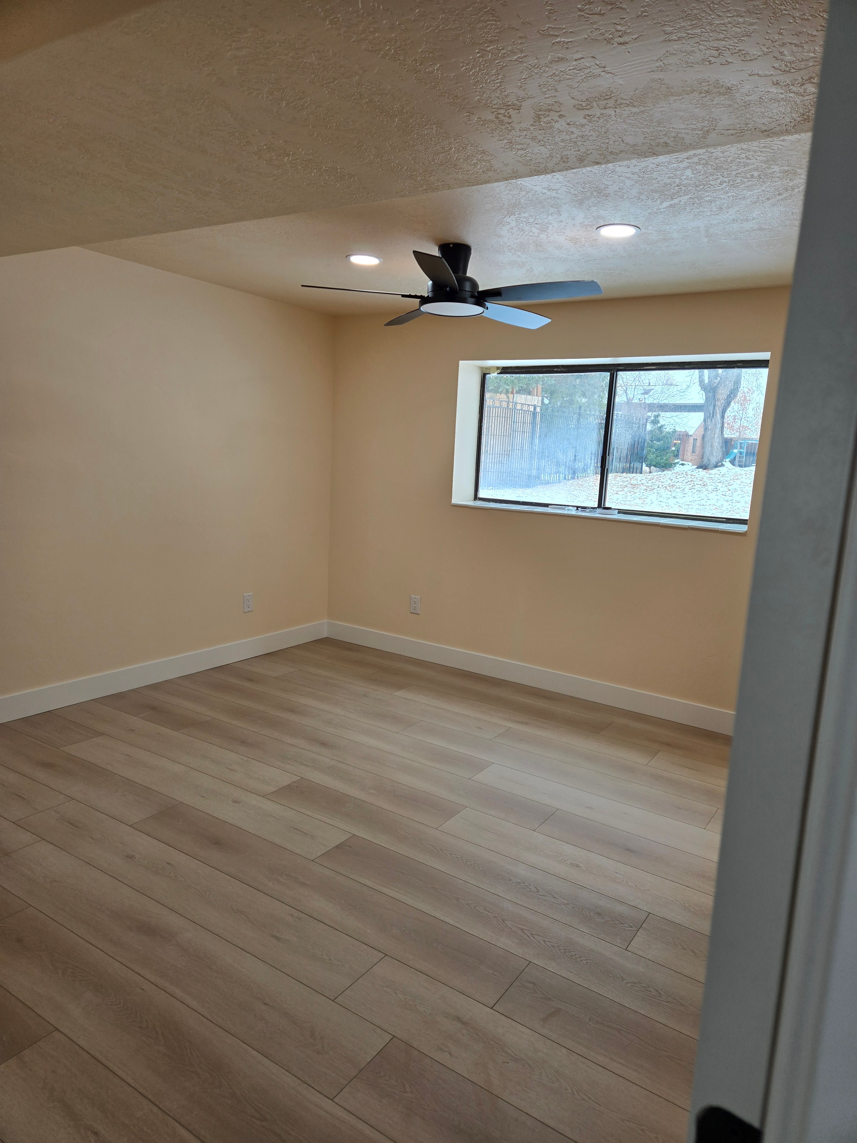 Basement Living Room — Final Walk